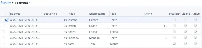 Pestaña Columnas con cliente oculto, orden, fecha, moneda y total con totales