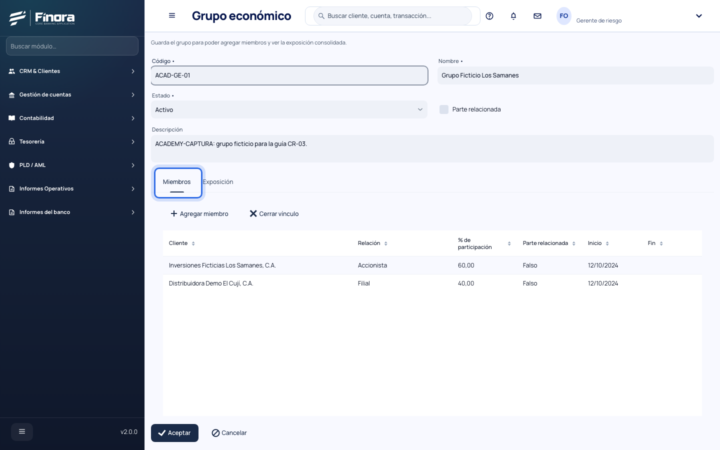 Grupo económico ficticio con sus dos empresas y su participación