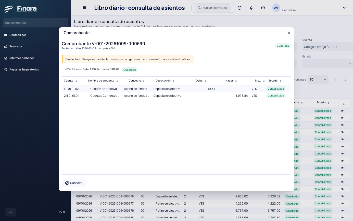 Comprobante de solo lectura con sus líneas al debe y al haber